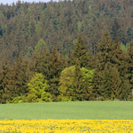 Bauernhaus:Blick aus dem Fenster