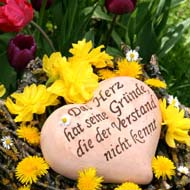 Tonherz