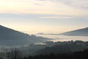 Novembernebel