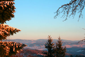 Blick in den Bayrischen Wald