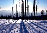 Wintererlebnis-Bayerischer Wald-Skifahren, Langlaufen,..