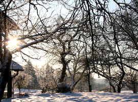 Wintergarten