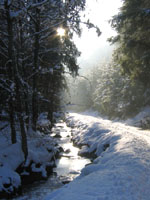 Winterbach
