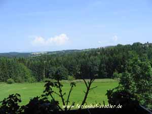 Blick aus dem Fenster