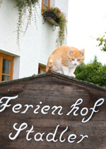 Katze Fridolin